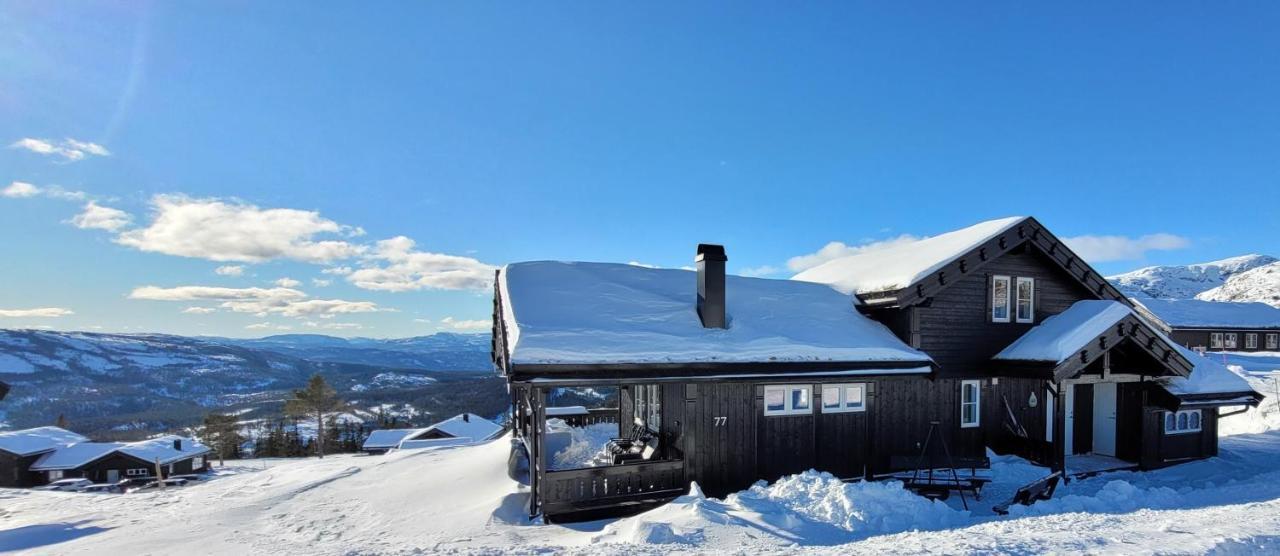 Wonderful Cabin With Amazing Mountain - View Lifjell Exterior foto